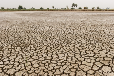 Cracks in the land in rural areas, Thailandの写真素材
