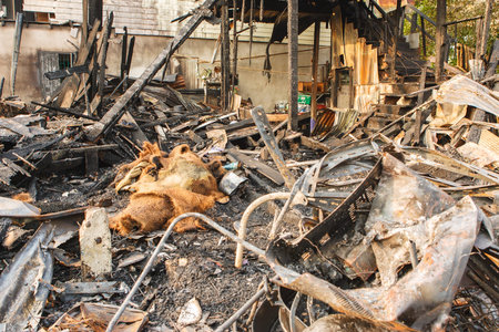 After fire at slum in Bangkok, Thailand