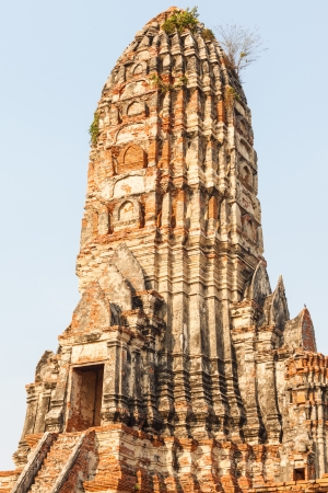 Ayutthaya Historical Park in Thailandの写真素材