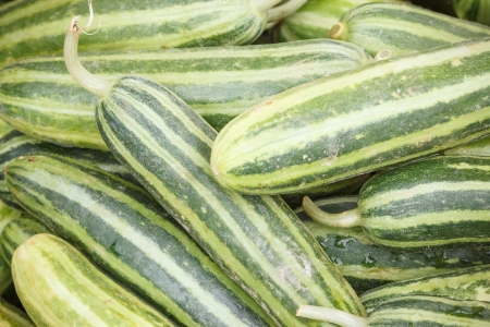 Cucumbers on market placeの写真素材