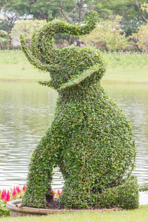 Bush trimmed into elephant shapeの写真素材