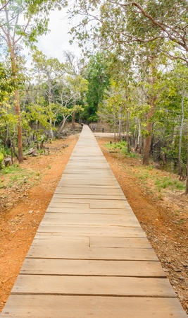 wooden bridgeの写真素材