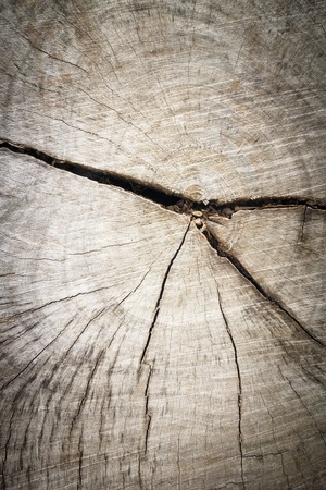 Wooden texture backgroundの写真素材