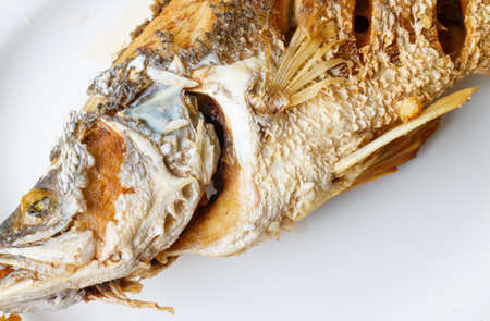 Fish fried on the plateの写真素材