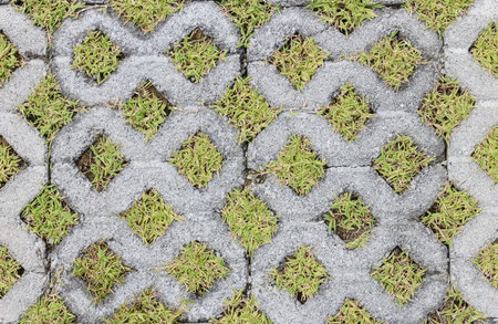 Grass in the holes of brick floor