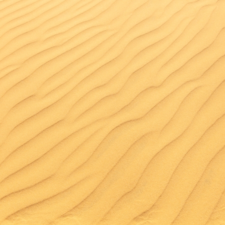 Rippled on Desertの写真素材