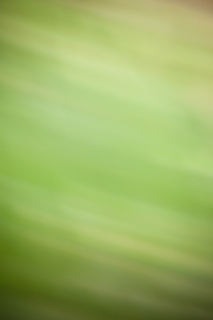 Light background green abstract wallpaper patternの写真素材