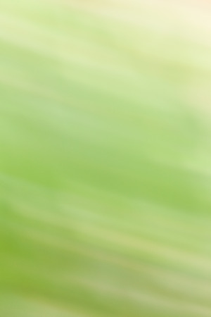 Light background green abstract wallpaper patternの写真素材