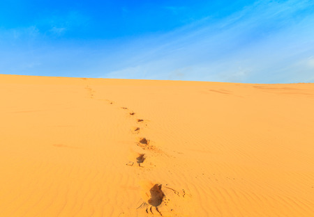 Sand dune in Muine, Vietnamの写真素材