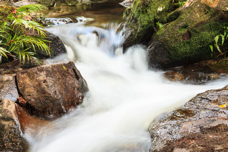 forest waterfall and rocks covered with mossの写真素材
