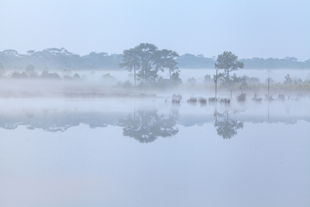 Morning fog on a lakeの写真素材