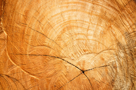 Wooden circleの写真素材