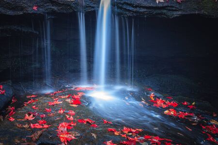 red maple leaf on the rock at small waterfallの写真素材
