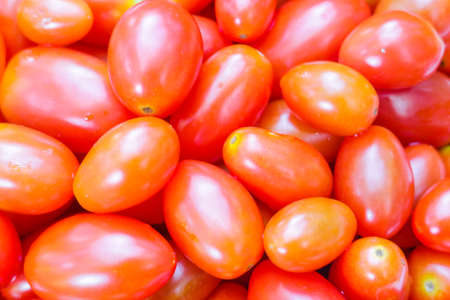 tomatoes for backgroundの写真素材