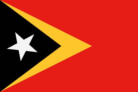 National flag of East Timor. Vector illustration, templateのイラスト素材