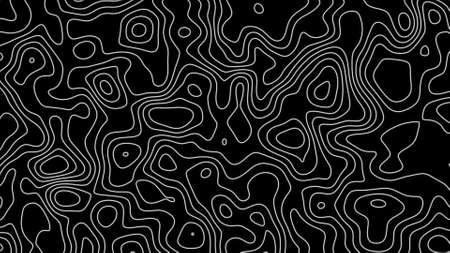 Fractal lines background. Topographic map like abstract backdropの写真素材