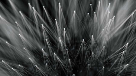 Smooth technological surface like dandelion. Plexus style connecting lines and dots.の写真素材