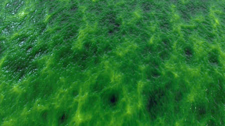 Abstract organic wet slime, biological matter background. Seething flesh slush like backdropの写真素材