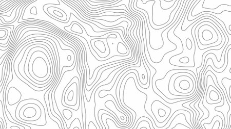 fractal lines background. Topographic map like abstract backdropの写真素材