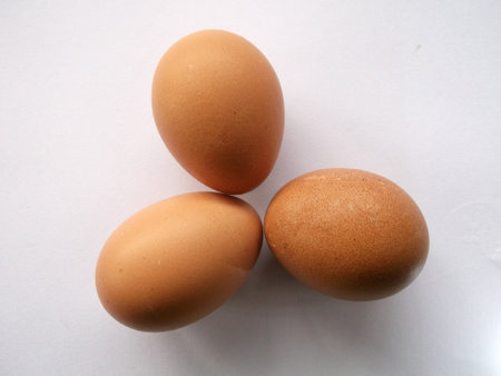 Egg