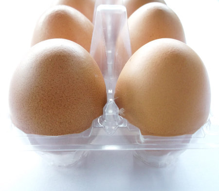 Egg market