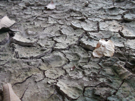 mound of soil isolated 