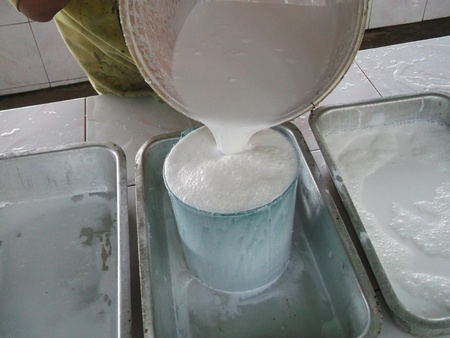 Tapping latex from a rubber tree. Phuket, Thailandのeditorial素材