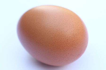 Eggの写真素材