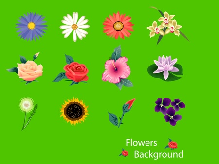 flower backgroundのイラスト素材