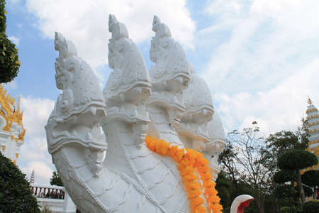 Serpentの写真素材