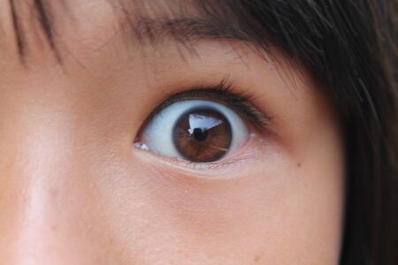 Picture of brown eye of the female の写真素材