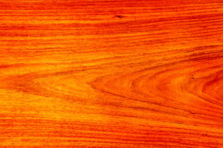 Wood background   の写真素材