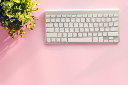 Modern pink office desk table  with  notebook for input the text in the middle. Top view, flat lay.
