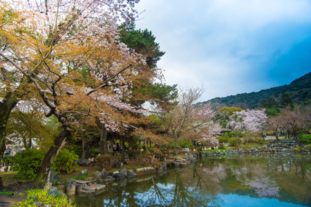 Japan at Himeji Castle in spring season.のeditorial素材