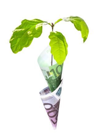 money growth concept color image isolated on a white backgroundの写真素材