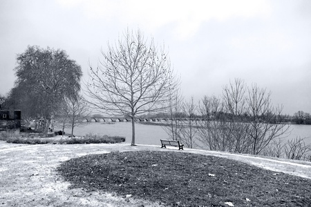 landscape -  brige and trees near the river - monochromeの写真素材