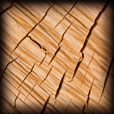 yellow dried wood texture backgroundの写真素材