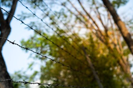 Shallow Depth of field of barbed wire and blurred background. Concept for forbidden area and security.の写真素材