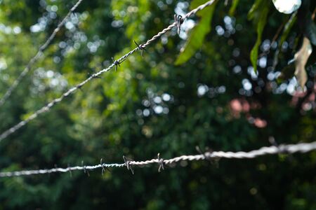 Shallow Depth of field of barbed wire and blurred background. Concept for forbidden area and security.の写真素材