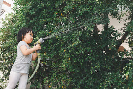 Funny moment of 3 Year old asian kid playing water with garden hose in backyard. Background concept  for play time and summer of children.の写真素材