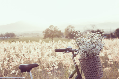 Vintage bicycle with basket full of grass in the fieldの写真素材