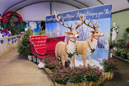Lacock, UK - November 19, 2016:  Christmas decorations on sale in Whitehall  garden centreのeditorial素材