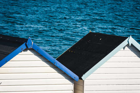 Pair of Mute Swans in the Marina in Torquay. Their Latin name are Cygnus olorの写真素材
