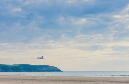 Seagull flies over Woolacombe beach in North Devon, UKの写真素材