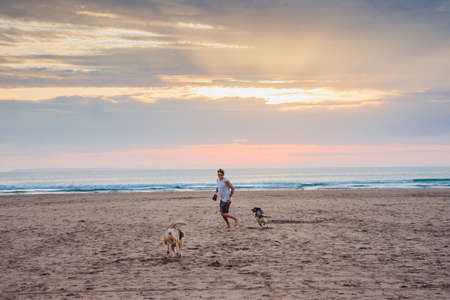 Man running and playing with his mix dogs on the beach at Woolacombe, in Devon UKの写真素材