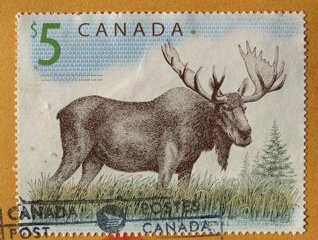 Canadian postage stamp from Canada with deer mooseの写真素材