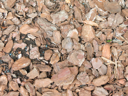 bark mulch texture backgroundの写真素材