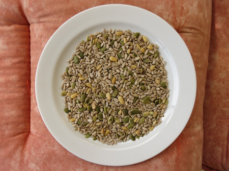 Seed mixture of Pumpkin, sunflower and sesame seedsの写真素材