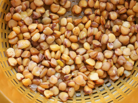 Grass pea (Lathyrus sativus) aka sweet pea, chickling pea, Indian pea, white pea, cicerchia pea...
