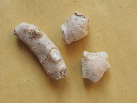 ginger root (Zingiber officinale) vegetables vegan foodの写真素材